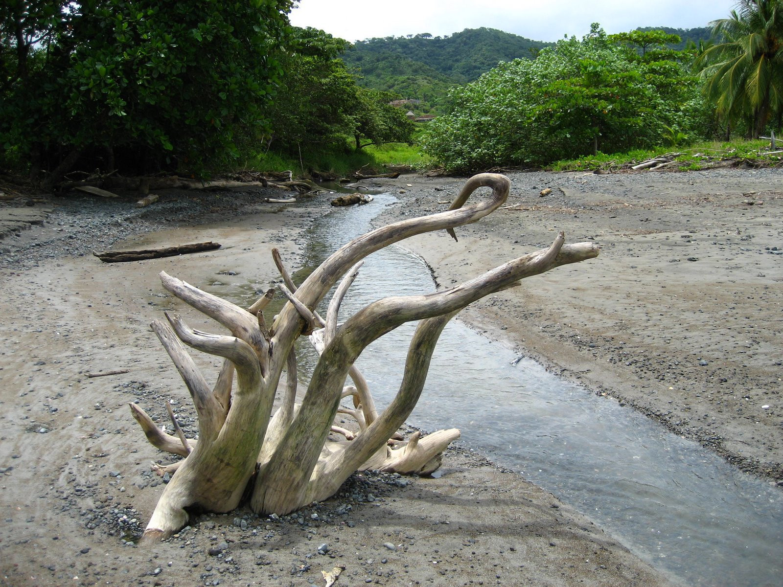 Ислита, Гуанакасте провинция, Коста-Рика, фото № 39388 – фотографии Коста-Рики