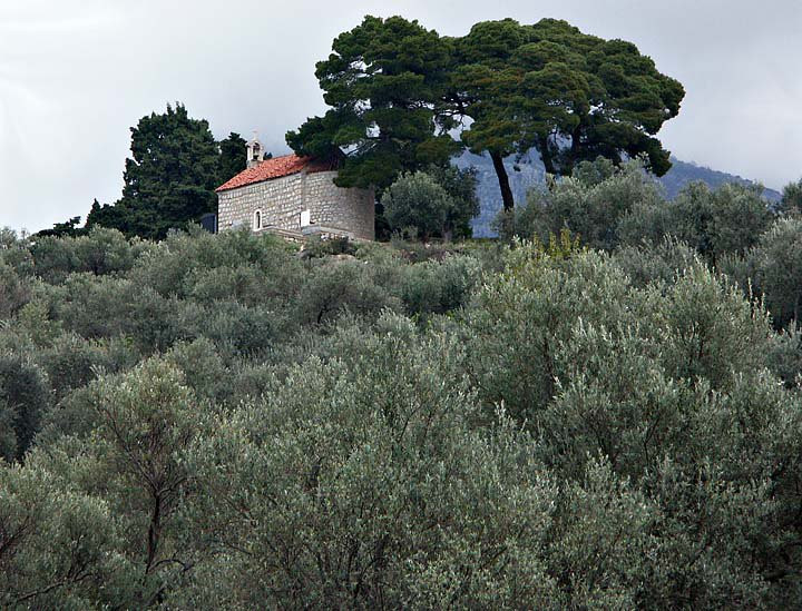 Природа в Бар, Черногория – фотографии Черногории