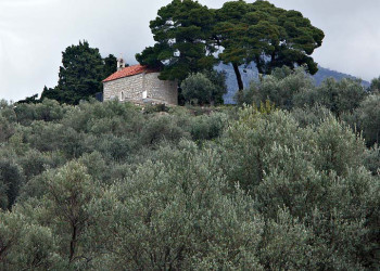 Природа в Бар, Черногория – фотографии Черногории