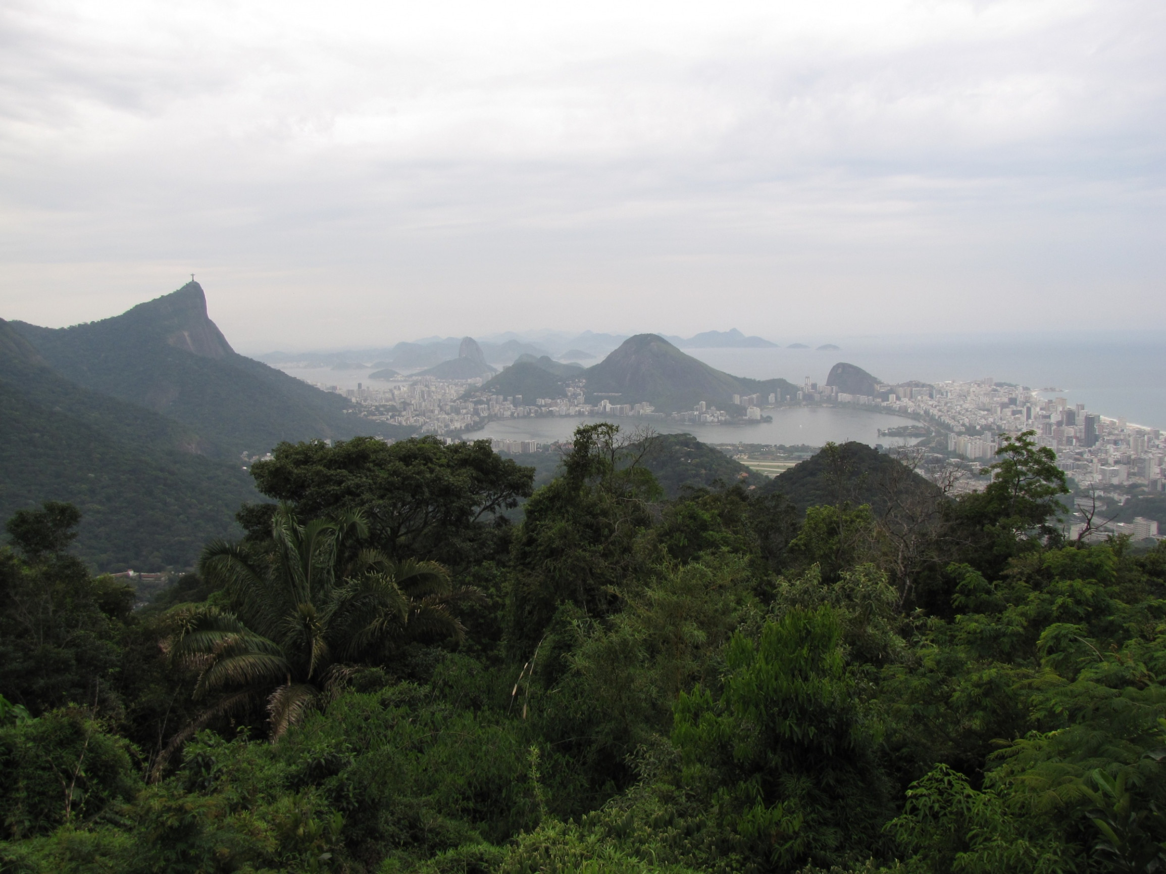 Национальный парк Тижука (Parque Nacional da Tijuca) – фотографии Бразилии