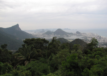 Национальный парк Тижука (Parque Nacional da Tijuca) – фотографии Бразилии