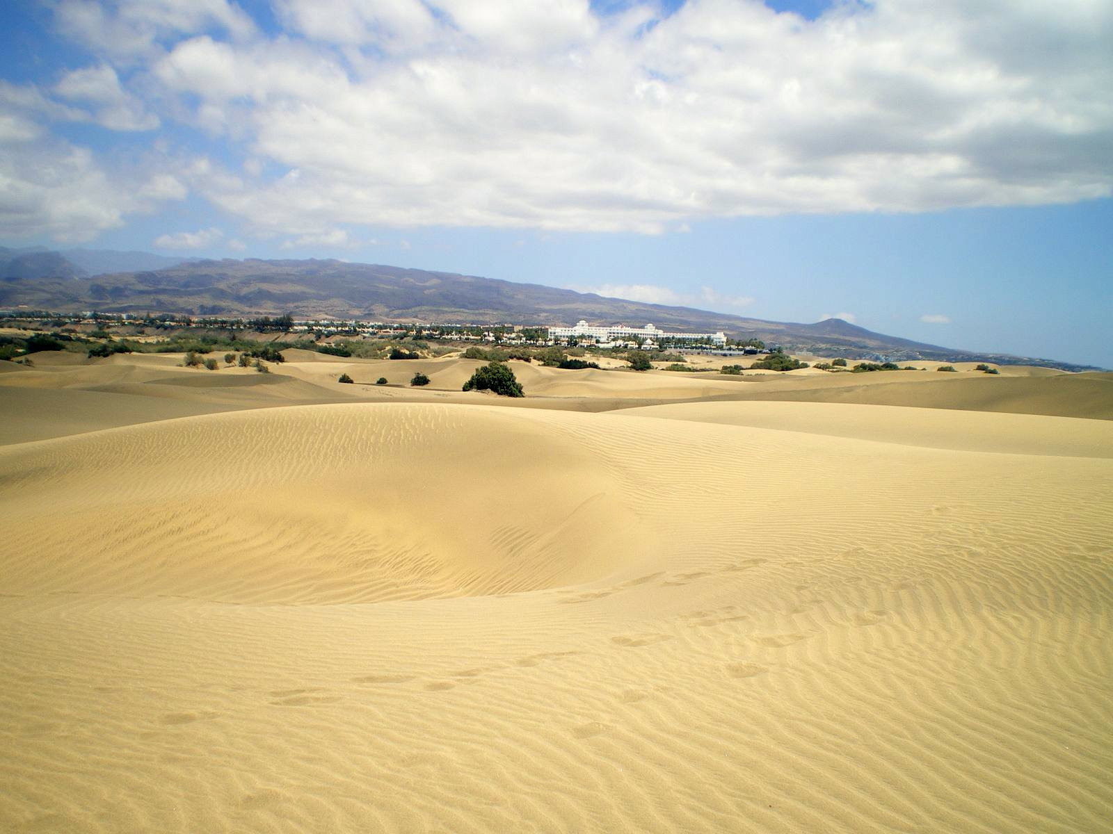 Маспаломас, Маспаломас Коста-Канария, Гран-Канария остров, Канарские острова, фото № 31060 – фотографии Канарских островов