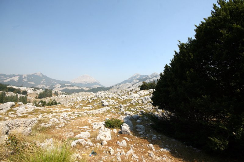 Национальный парк, Черногория. Фото 6 – фотографии Черногории