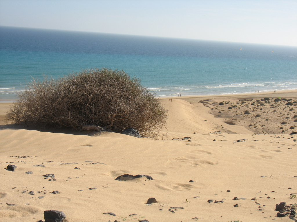 Коста-Кальма, Хандия полуостров, Фуэртевентура остров, Канарские острова, фото № 34280 – фотографии Канарских островов