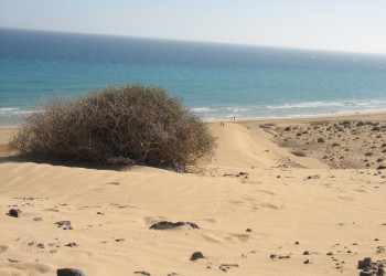 Коста-Кальма, Хандия полуостров, Фуэртевентура остров, Канарские острова, фото № 34280 – фотографии Канарских островов