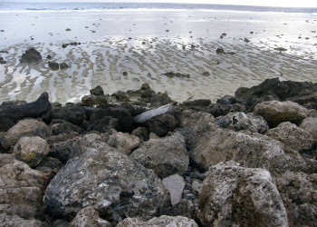 Остров Науру в Тихом океане, 42 километра от экватора – фотографии Науру