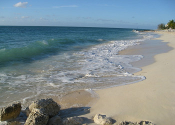 Пляж на острове Гранд Багама, Багамские острова. Фото 11 – фотографии Багамских островов