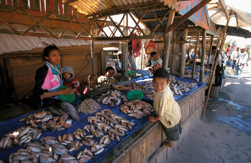 Мадагаскар, фото № 2438 – фотографии Мадагаскара