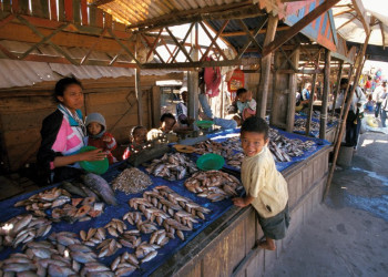 Мадагаскар, фото № 2438 – фотографии Мадагаскара