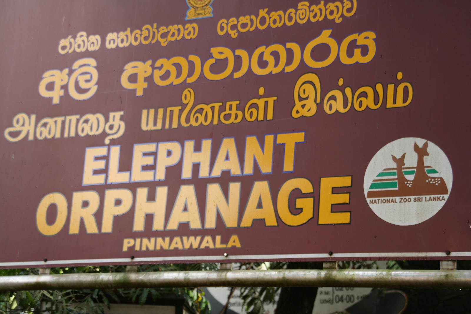 Слоновий питомник Пиннавела на острове Шри-Ланка. Фото 7 – фотографии Шри-Ланки