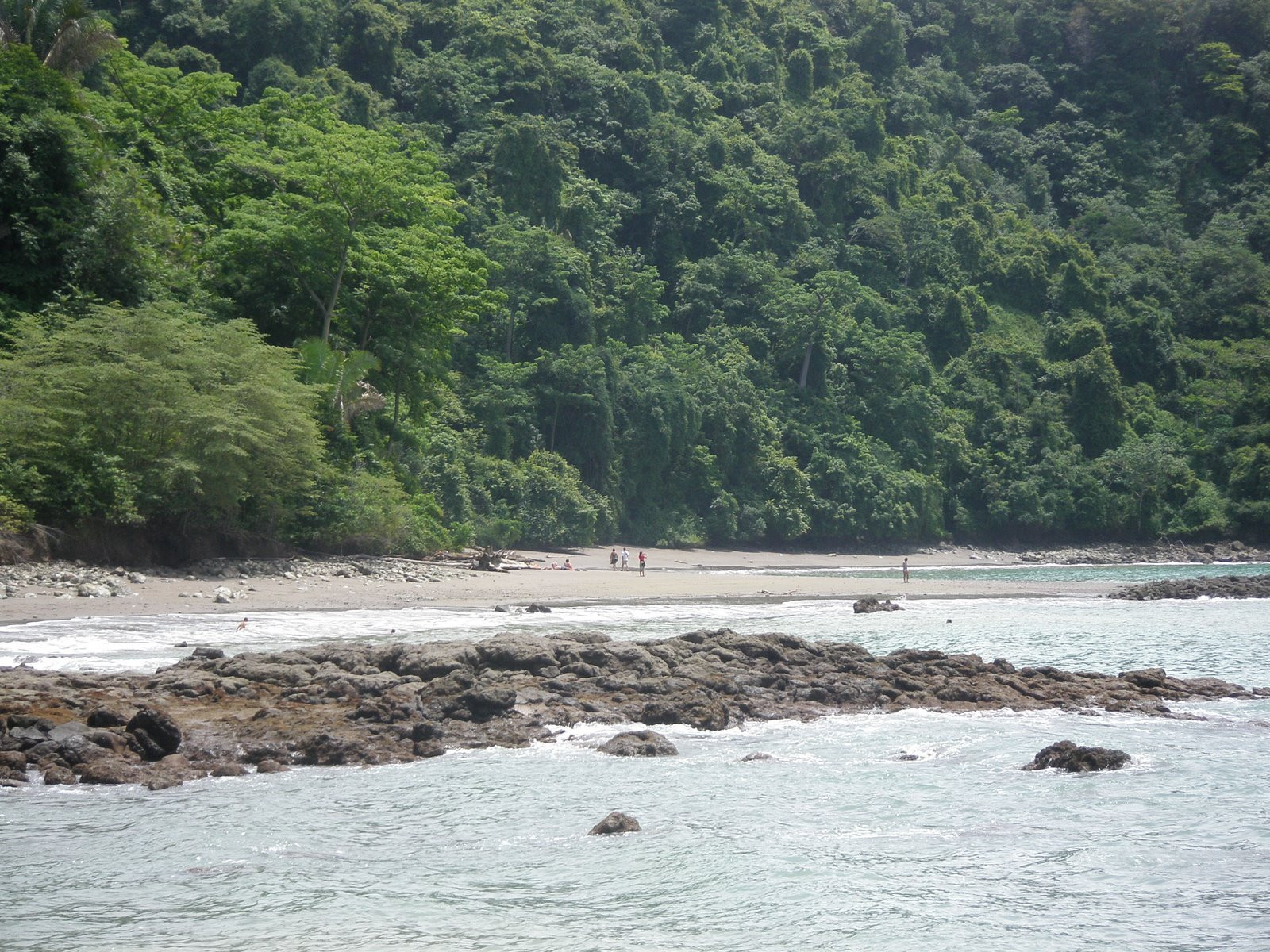 Мануэль Антонио, Пунтаренас провинция, Коста-Рика, фото № 40643 – фотографии Коста-Рики