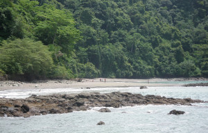 Мануэль Антонио, Пунтаренас провинция, Коста-Рика, фото № 40643 – фотографии Коста-Рики