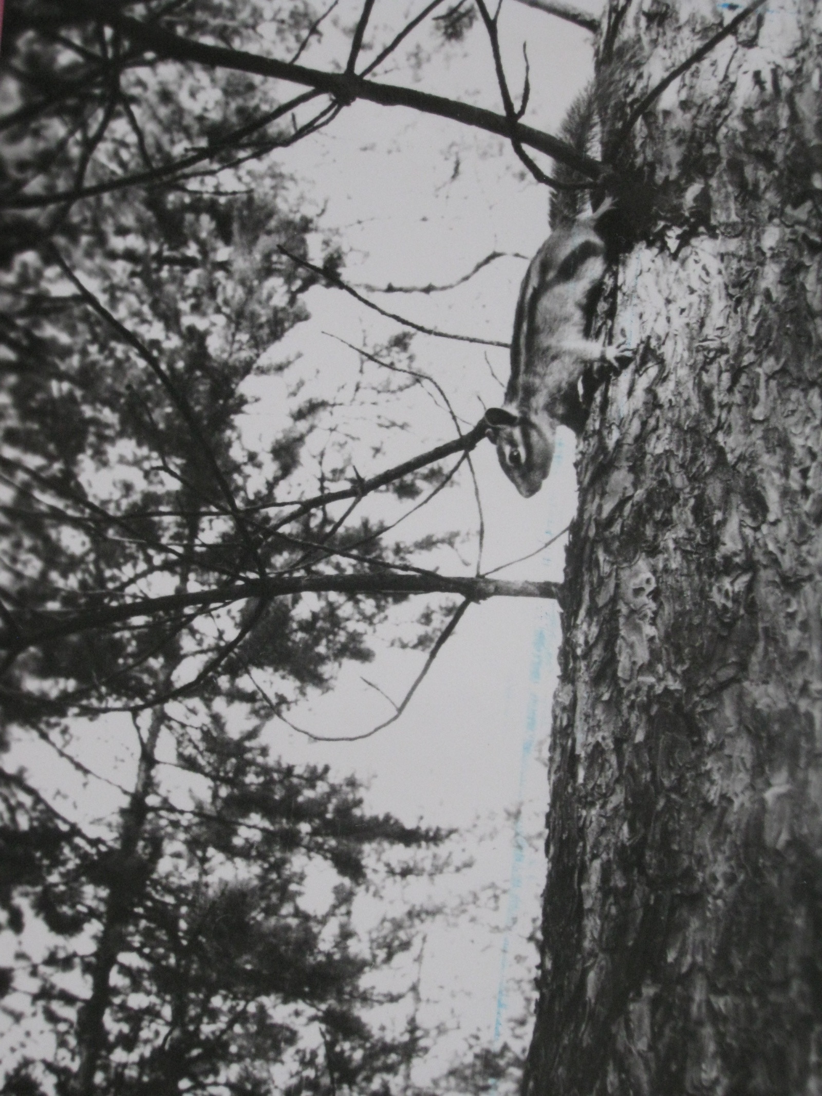 Якутия – фотографии России