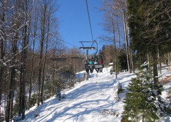 Рогла, Словения, фото № 57522 – фотографии Словении