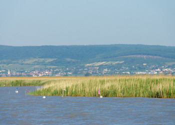 Нойзидль-ам-Зе (Neusiedl am See) – фотографии Австрии