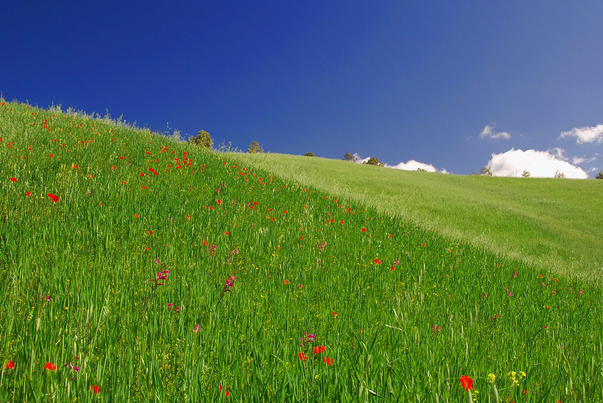 Кипр, фото № 699 – фотографии Кипра