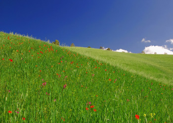 Кипр, фото № 699 – фотографии Кипра
