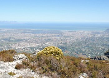 Cape_Town_from_Table_Mountain – фотографии ЮАР