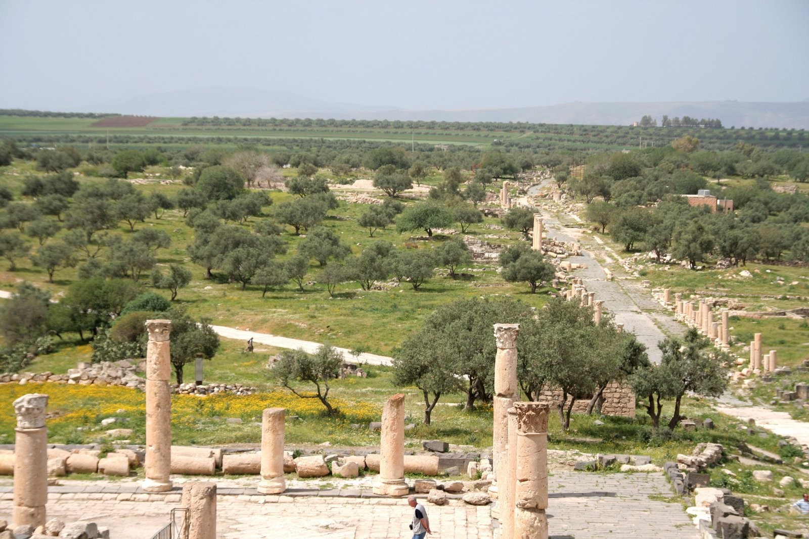 Умм Каис, Иордания, фото № 37437 – фотографии Иордании