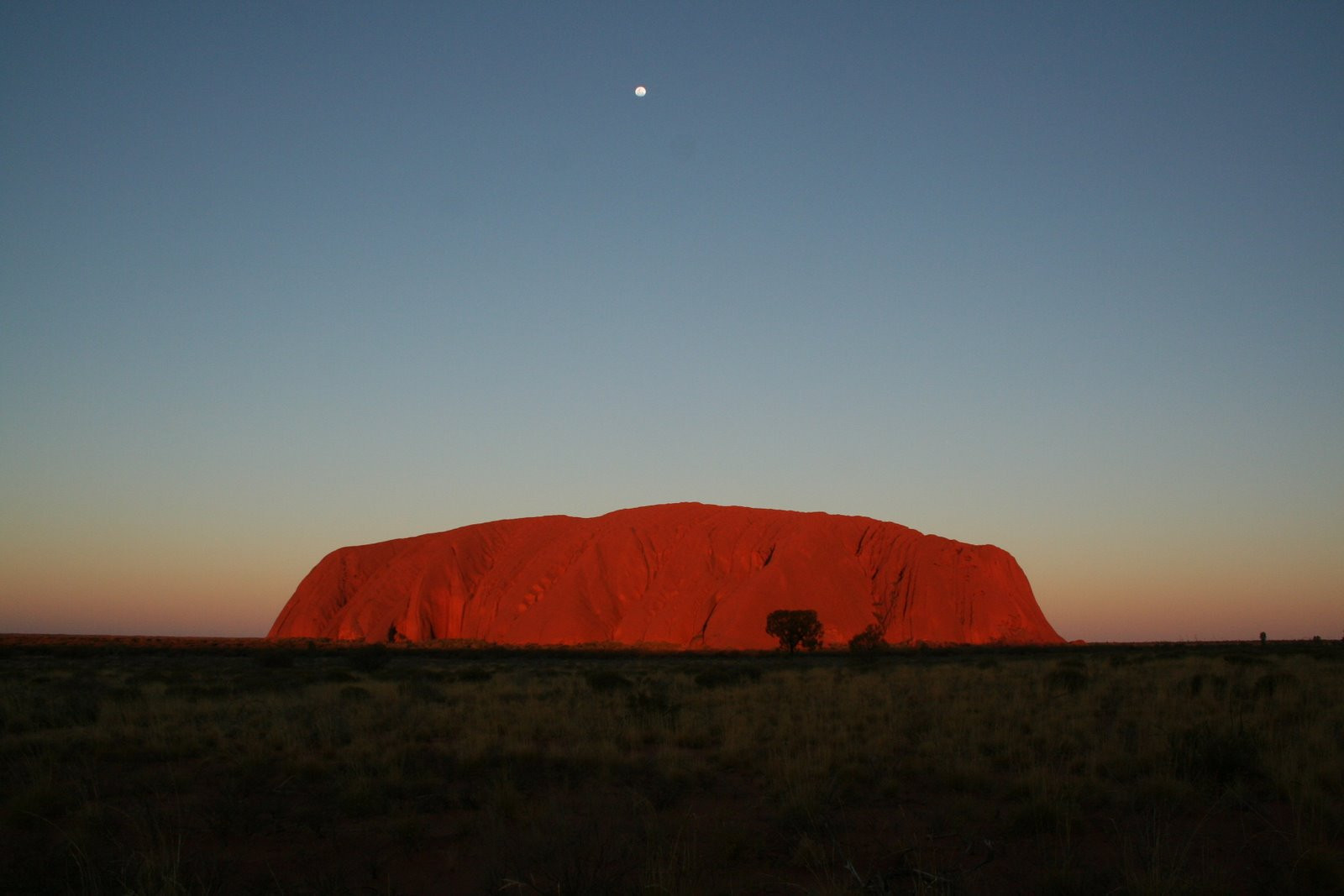 Саванна в Австралии. Фото 1 – фотографии Австралии