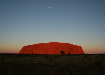 Саванна в Австралии. Фото 1 – фотографии Австралии