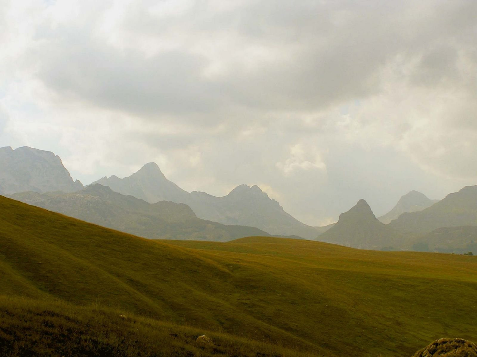Поля в Жабляк, Черногория – фотографии Черногории