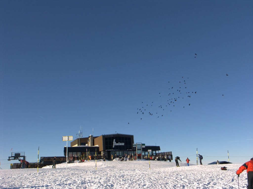 Лыжная база в Флэйн, Франция – фотографии Франции