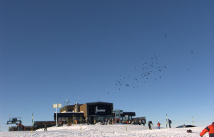 Лыжная база в Флэйн, Франция – фотографии Франции