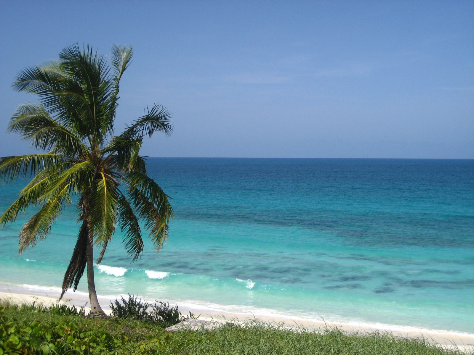 Море на острове Берри Айлендс, Багамские острова. Фото 19 – фотографии Багамских островов
