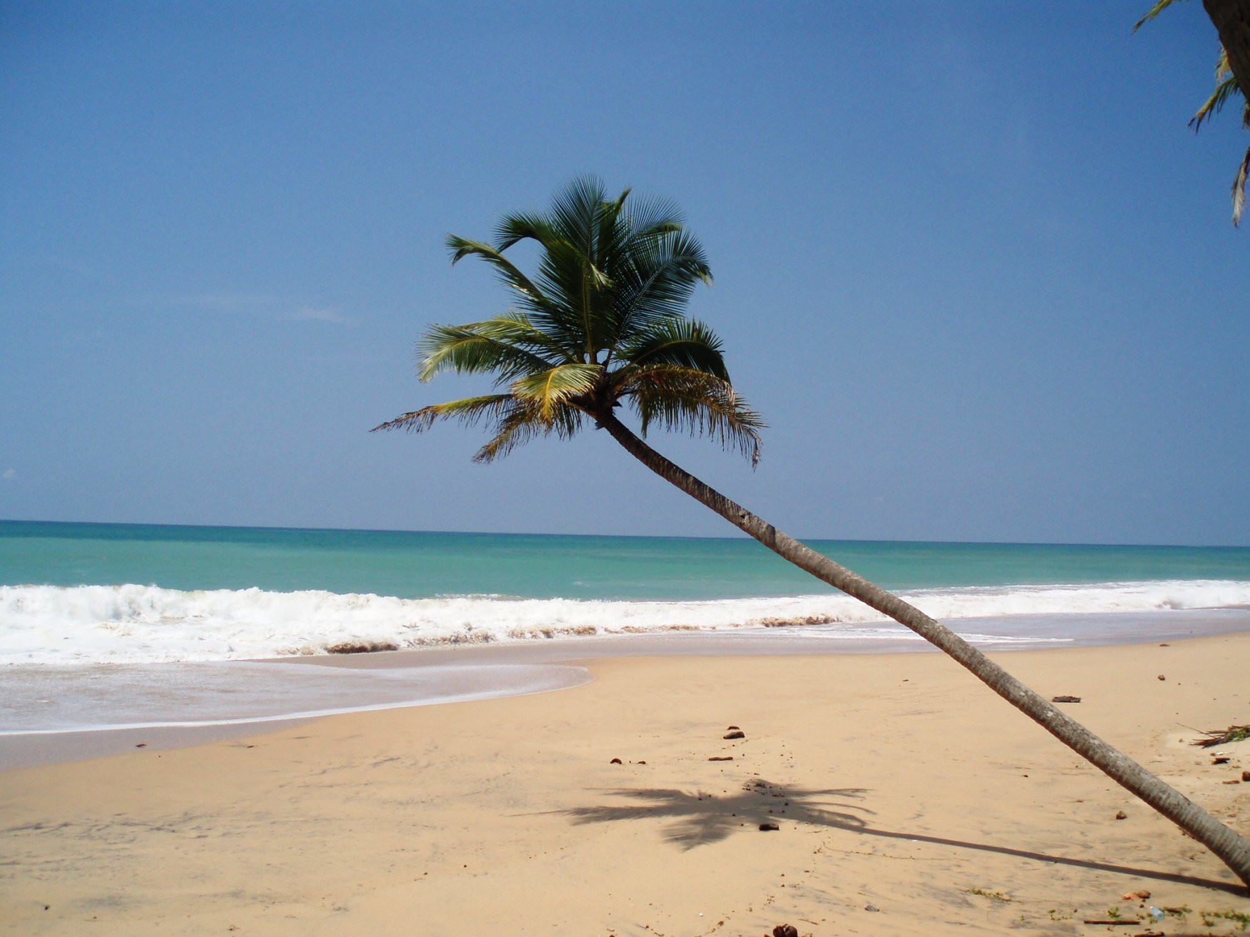 Шри-Ланка, фото № 1168 – фотографии Шри-Ланки