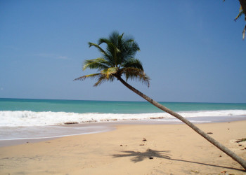 Шри-Ланка, фото № 1168 – фотографии Шри-Ланки