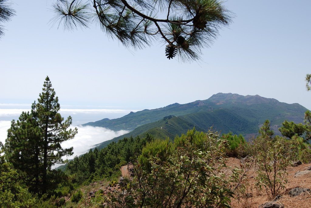 Эль-Пасо, Ла-Пальма остров, Канарские острова, фото № 32318 – фотографии Канарских островов