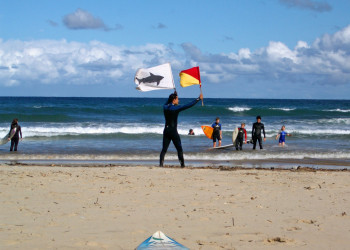 Shark flag, East London, South Africa – фотографии ЮАР
