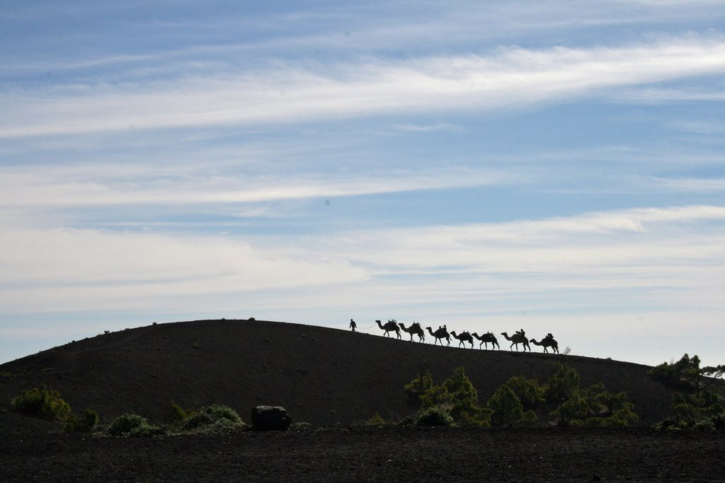 Фуэнкальенте, Ла-Пальма остров, Канарские острова, фото № 32270 – фотографии Канарских островов