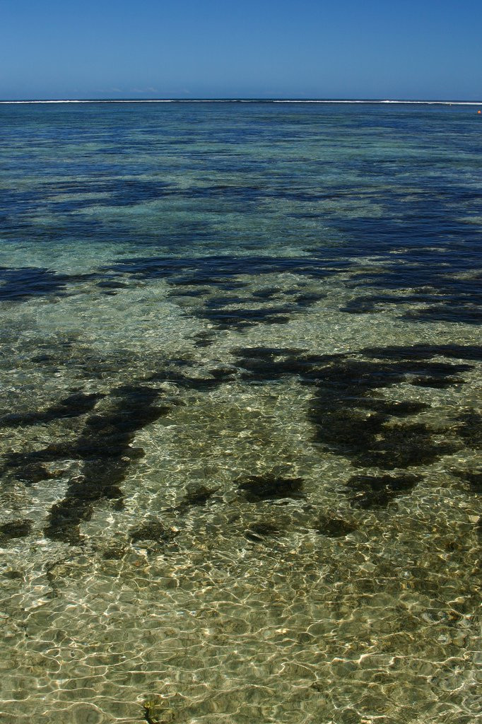 Корал Коаст, Вити Леву остров, Вити Леву группа островов, Фиджи, фото № 49484 – фотографии Фиджи