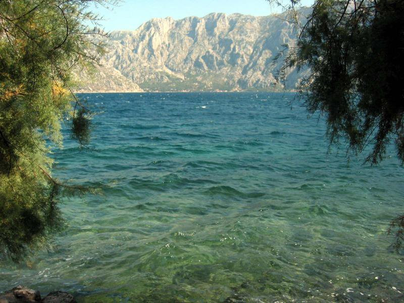 Море в Которском заливе, Черногория. Фото 15 – фотографии Черногории
