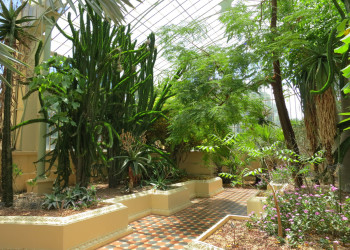 Ботанический сад Аделаиды – фотографии Австралии