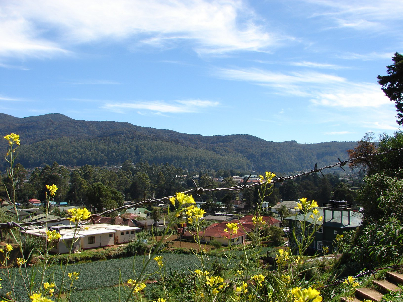 Нувара Элия, Шри-Ланка, фото № 52006 – фотографии Шри-Ланки