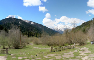 Шови, Грузия, фото № 73747 – фотографии Грузии