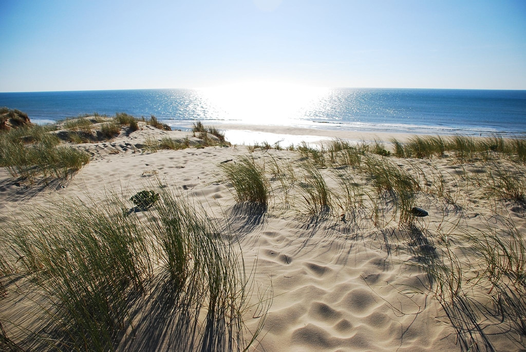 Пейзаж в Лакано, Франция – фотографии Франции
