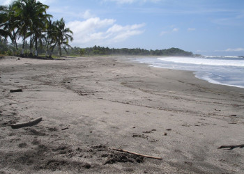 Плайя Хункуиллал, Гуанакасте провинция, Коста-Рика, фото № 39825 – фотографии Коста-Рики