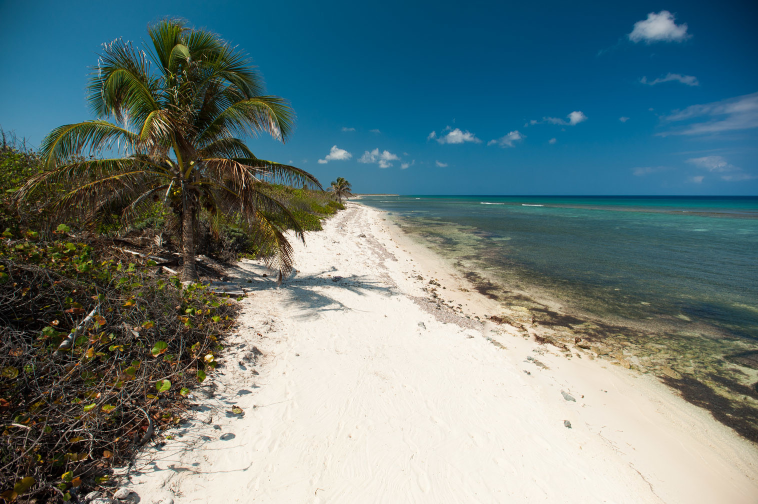 Пляжи на Литтл-Каймане, Каймановы острова. Фото 4 – фотографии Каймановых островов