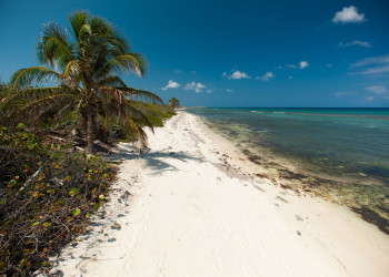 Пляжи на Литтл-Каймане, Каймановы острова. Фото 4 – фотографии Каймановых островов