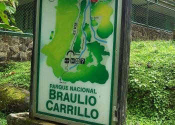 Браулио Каррильо Национальный Парк, Эредия провинция, Коста-Рика, фото № 39993 – фотографии Коста-Рики