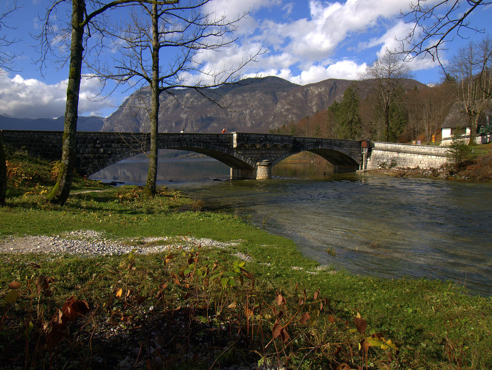 Бохинь Озеро, Словения, фото № 56955 – фотографии Словении