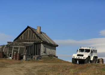 Остров Врангеля, Чукотский автономный округ, Россия – фотографии России