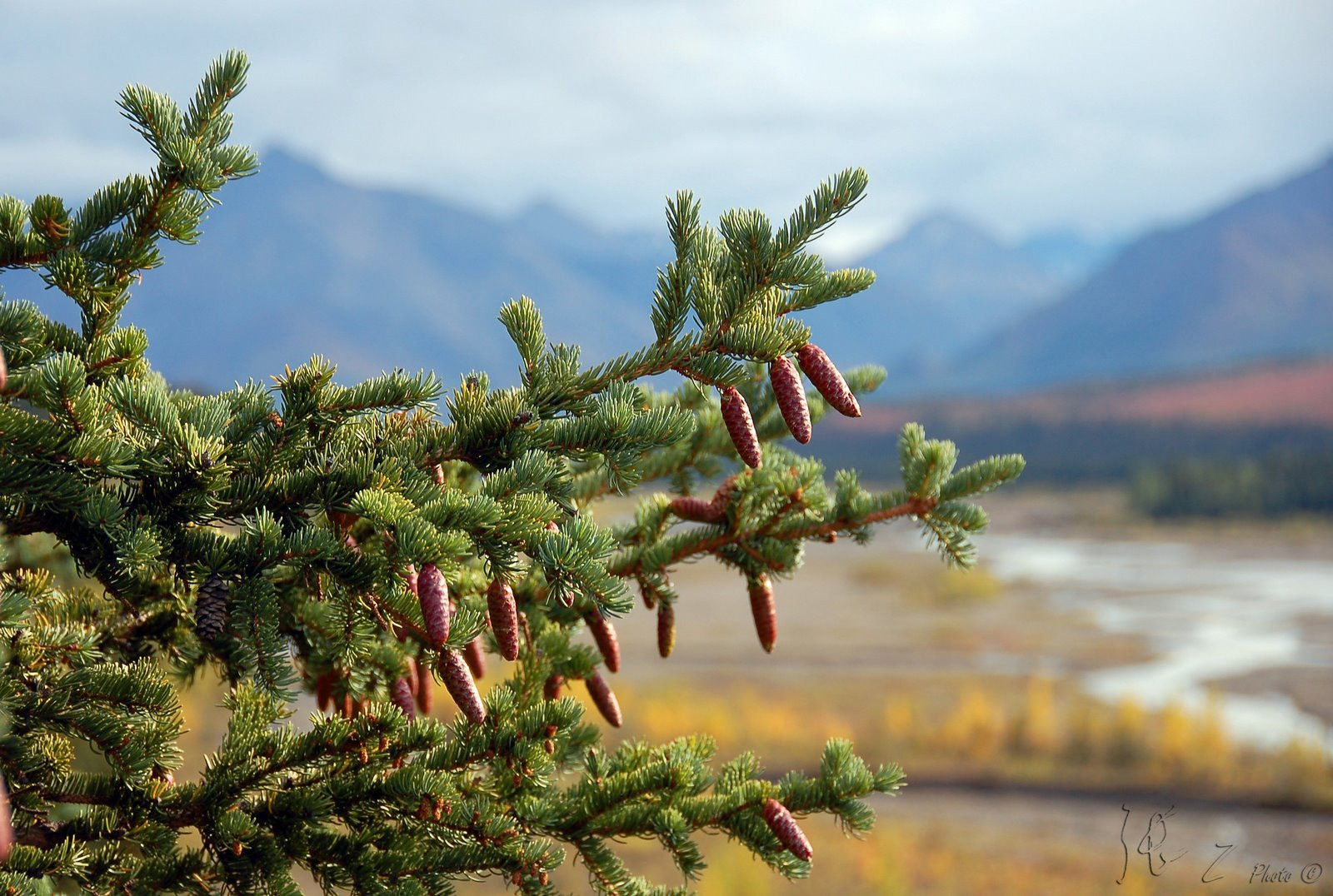 Аляска штат, США, фото № 67706 – фотографии США