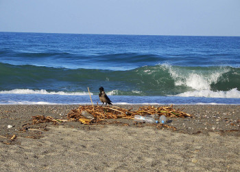 Аланья, Средиземноморский регион, Турция, фото № 46971 – фотографии Турции