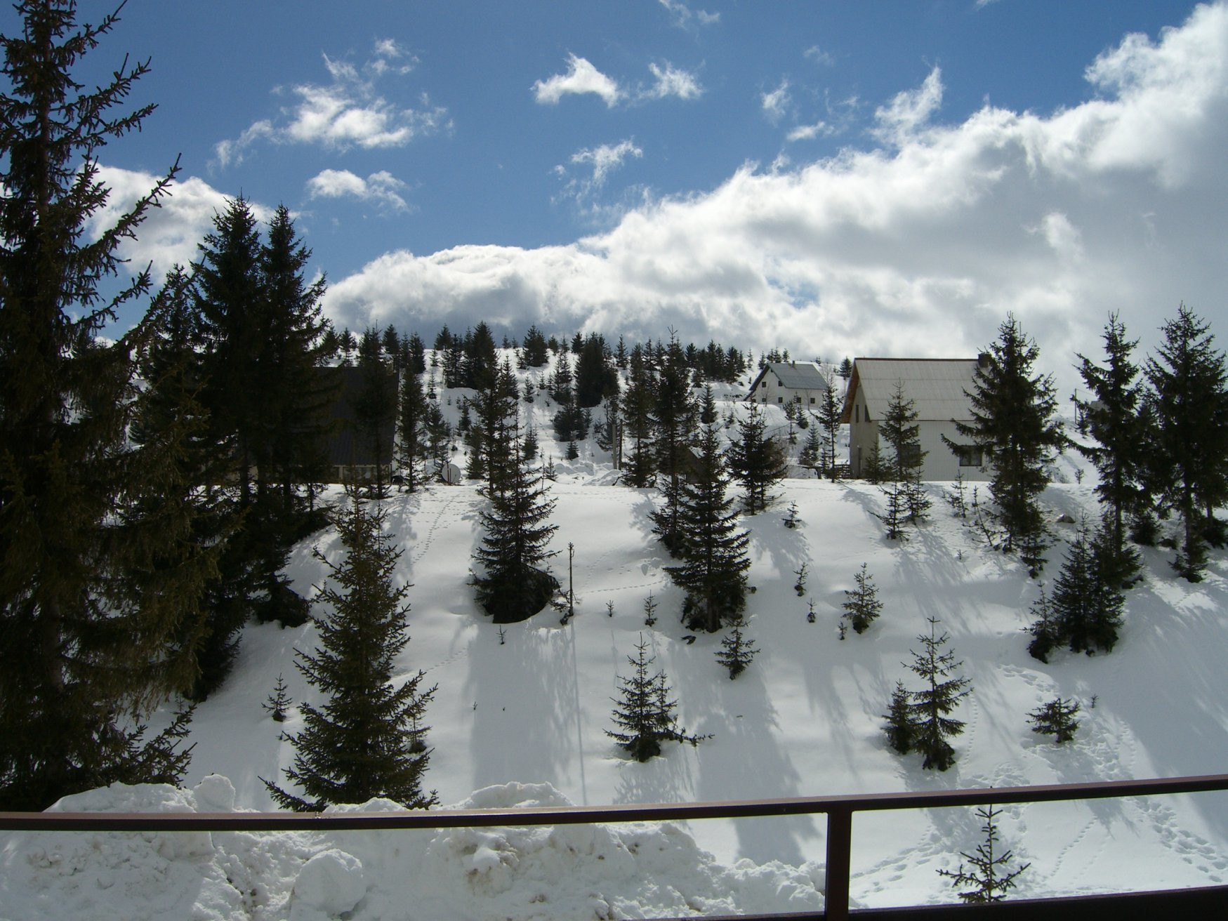 Природа в Жабляк, Черногория. Фото 10 – фотографии Черногории