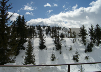 Природа в Жабляк, Черногория. Фото 10 – фотографии Черногории